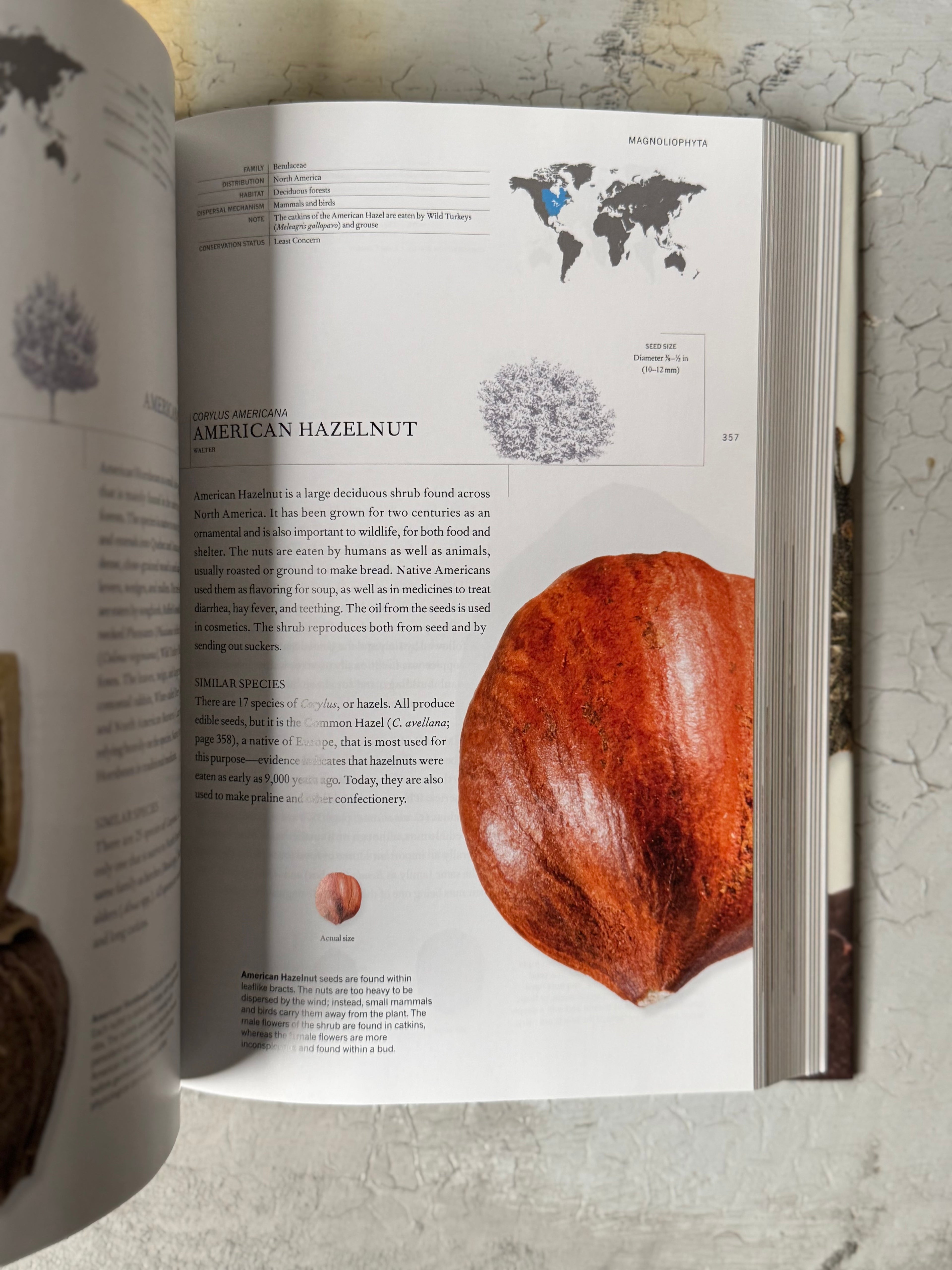 The Book of Seeds  Edited by Paul Smith