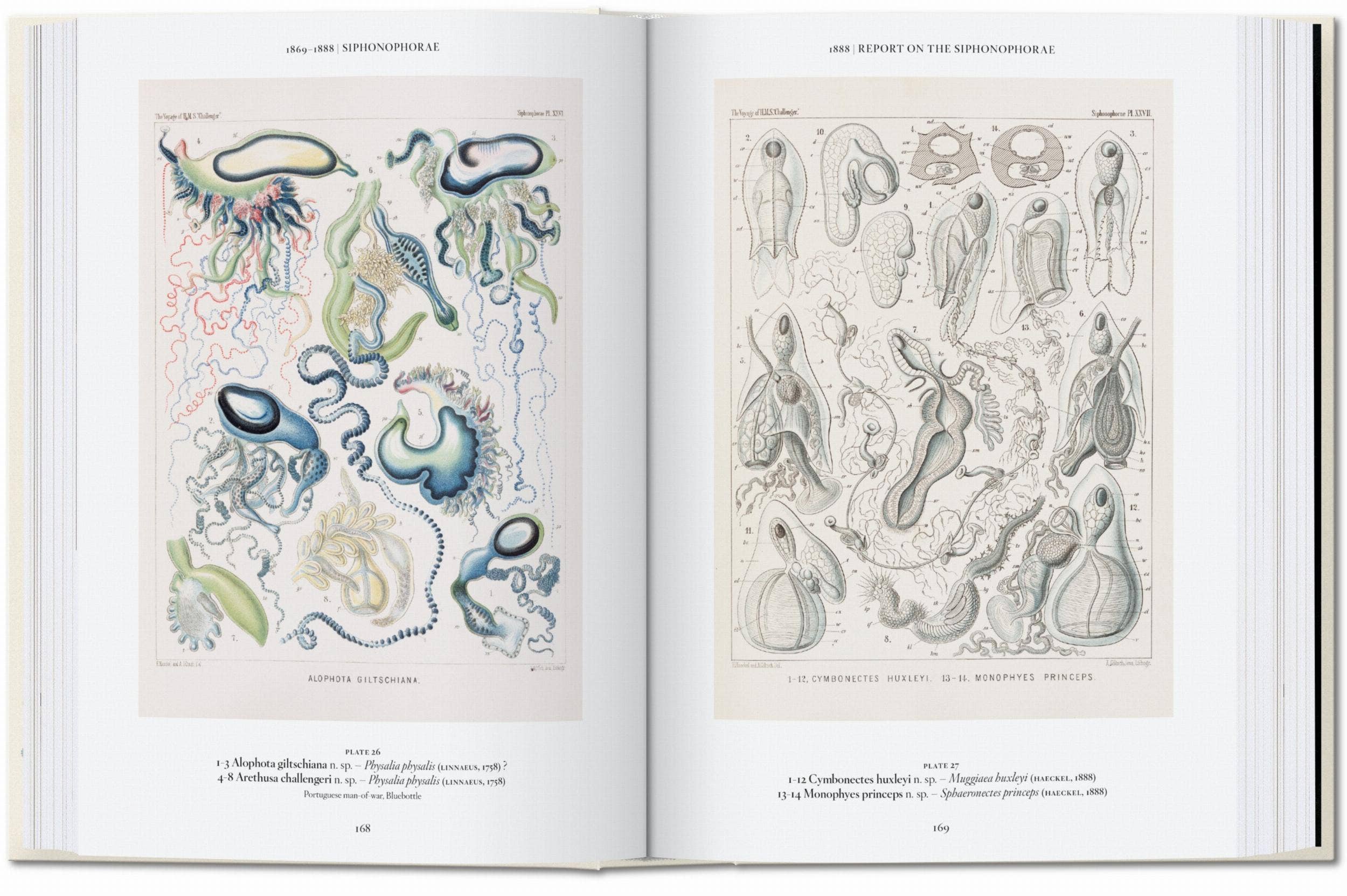 The Art and Science of Ernst Haeckel. 45th Ed