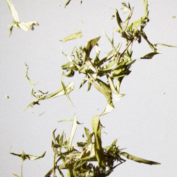 Loose leaf tea: Mugwort