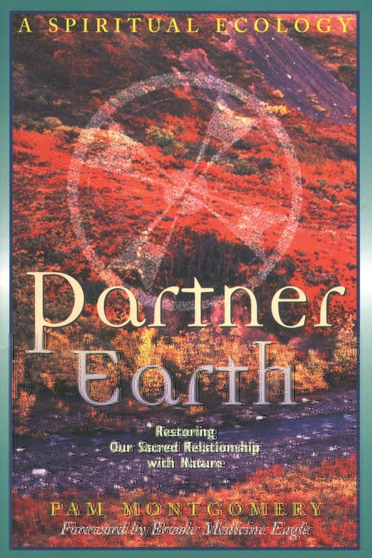 Partner Earth by Pam Montgomery