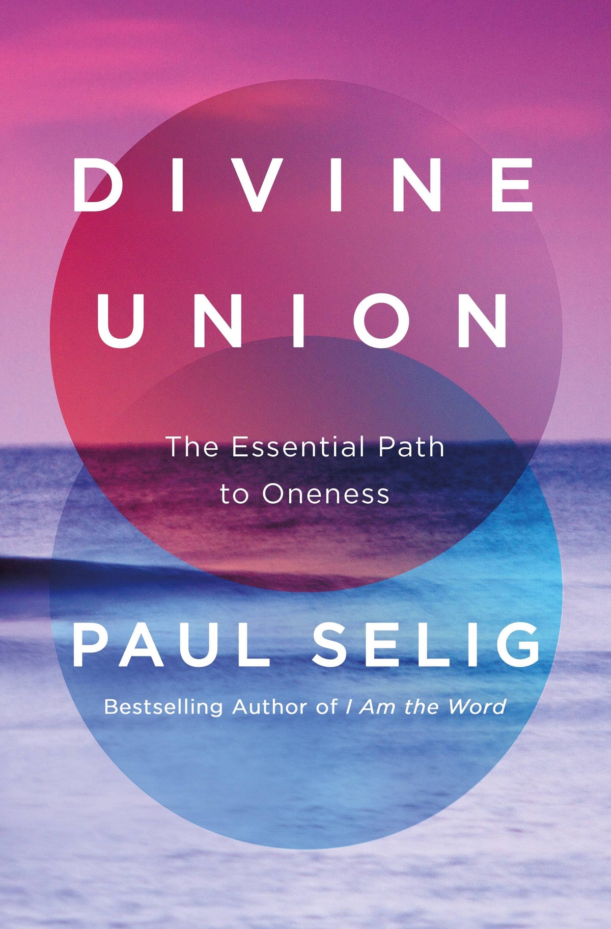 Divine Union by Paul selig