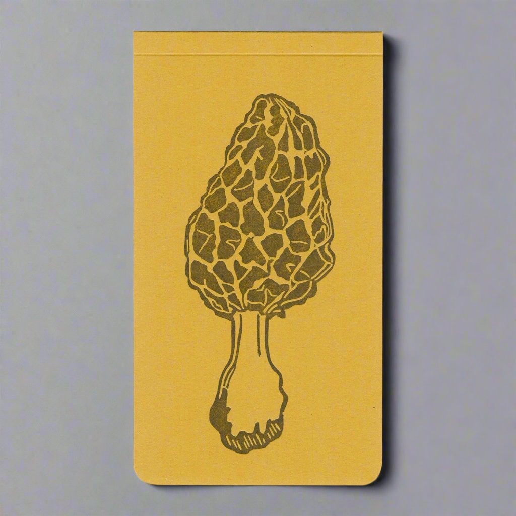 Morel mushroom jotter