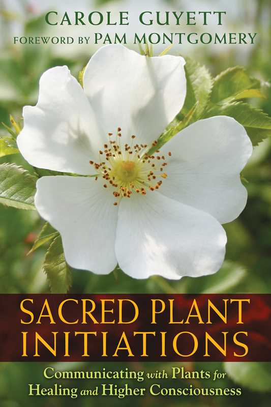 Sacred Plant Initiations by Carole Guyett