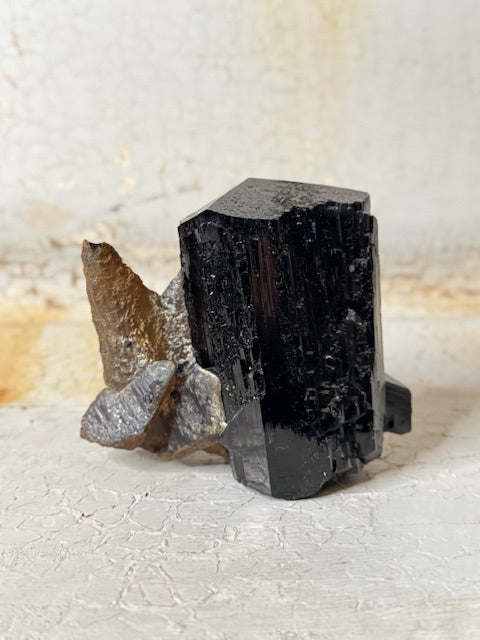 black tourmaline with calcite x large cluster