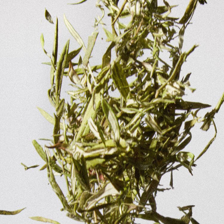 Loose leaf tea: Mugwort