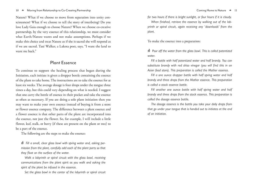 Co-Creating with Nature by Pam Montgomery