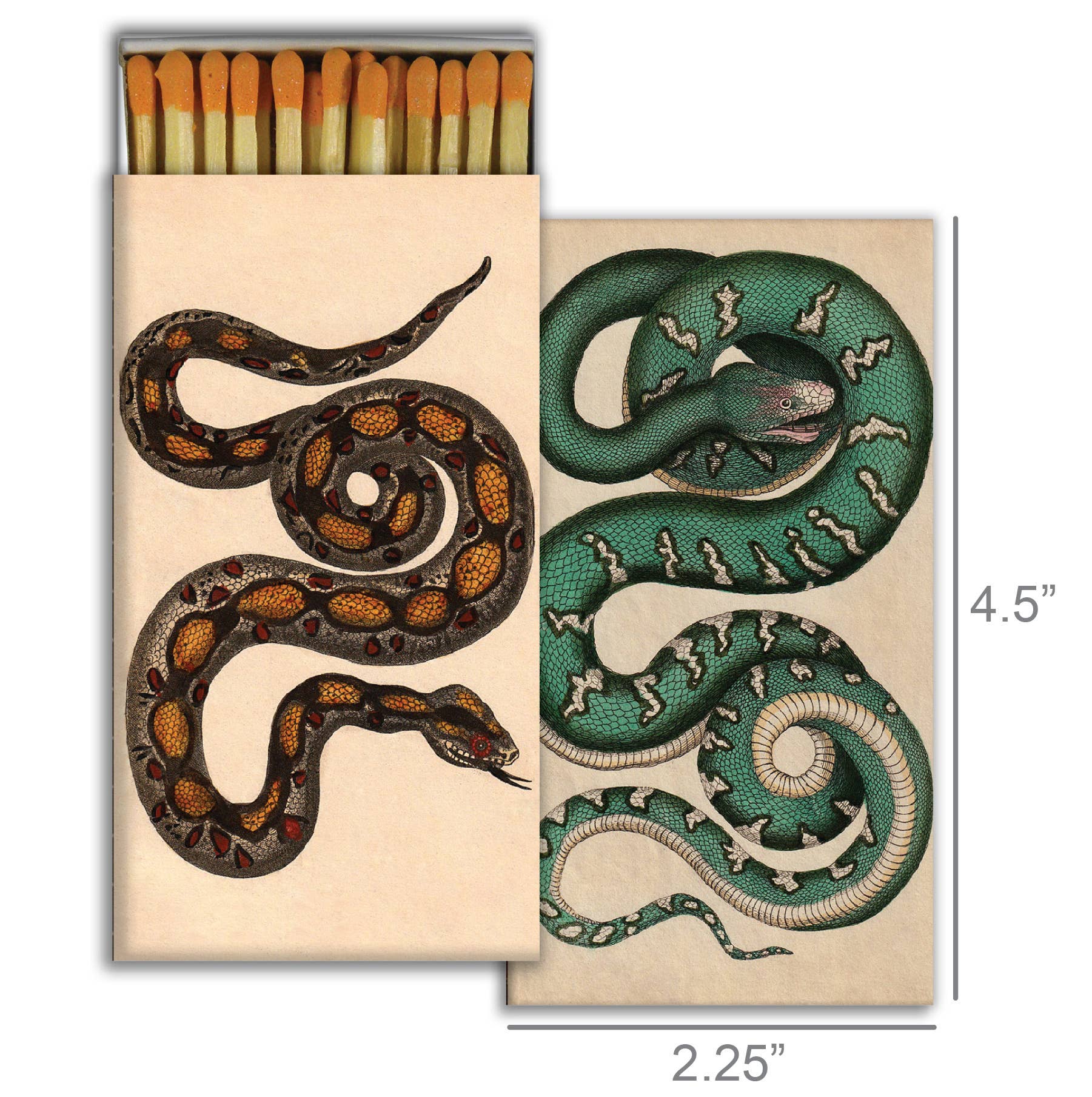 coiled snakes matches