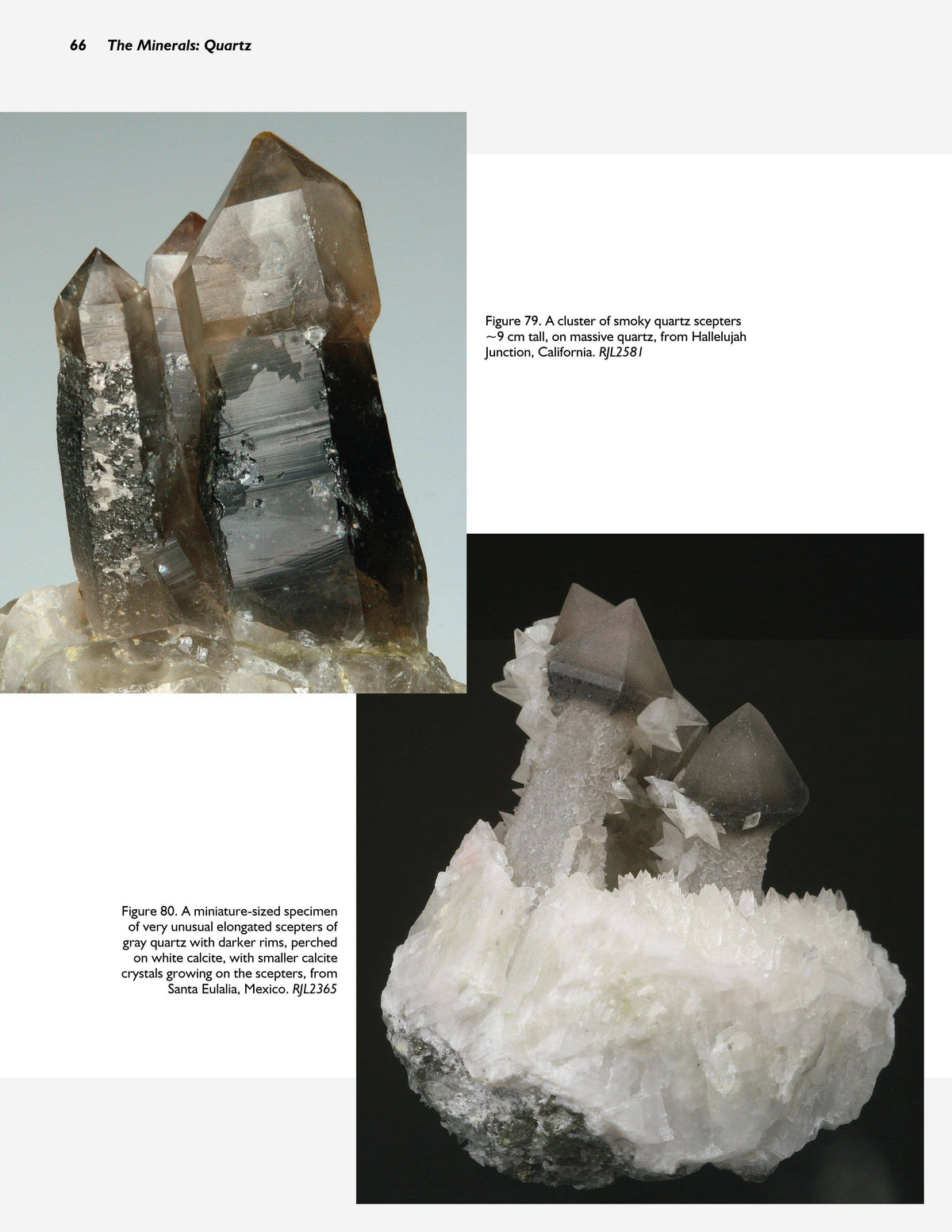 Collector's Guide to Quartz and Other Silica Minerals by Robert J Lauf