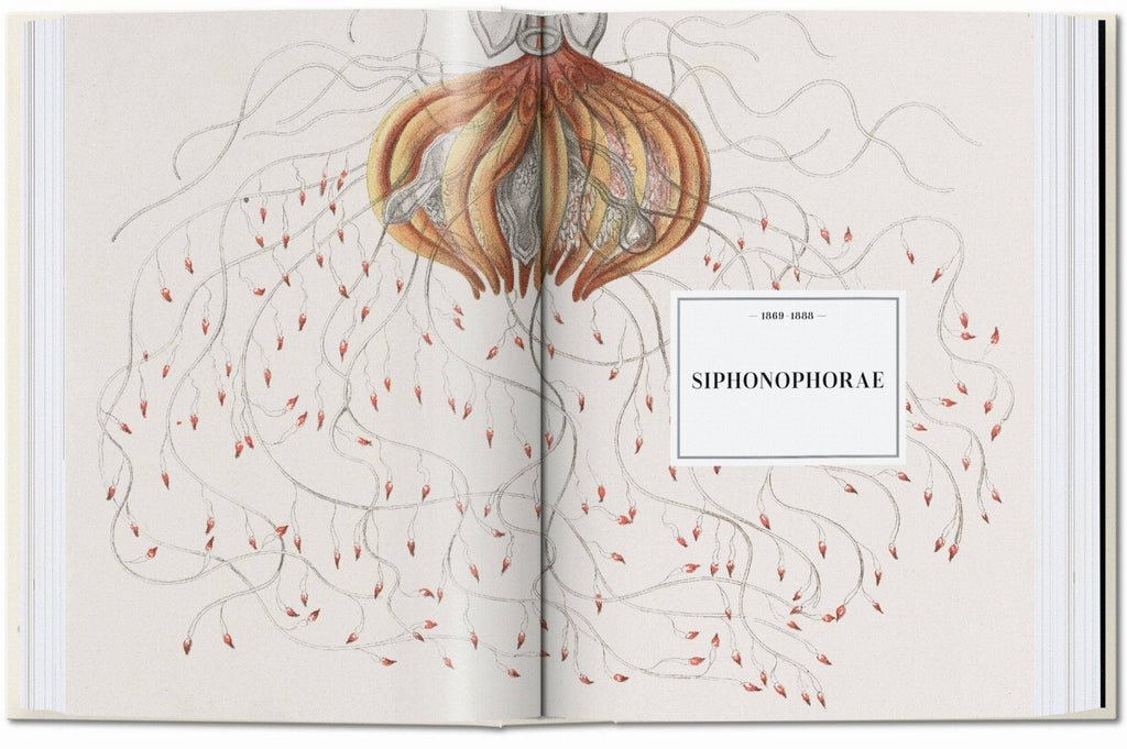The Art and Science of Ernst Haeckel. 45th Ed