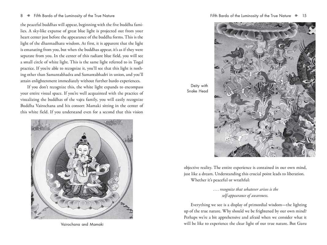 Six Bardos of the Tibetan Book of the Dead by Ven. Khenchen Palden Sherab Rinpoche