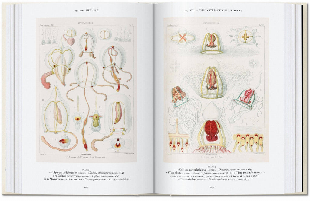 The Art and Science of Ernst Haeckel. 45th Ed