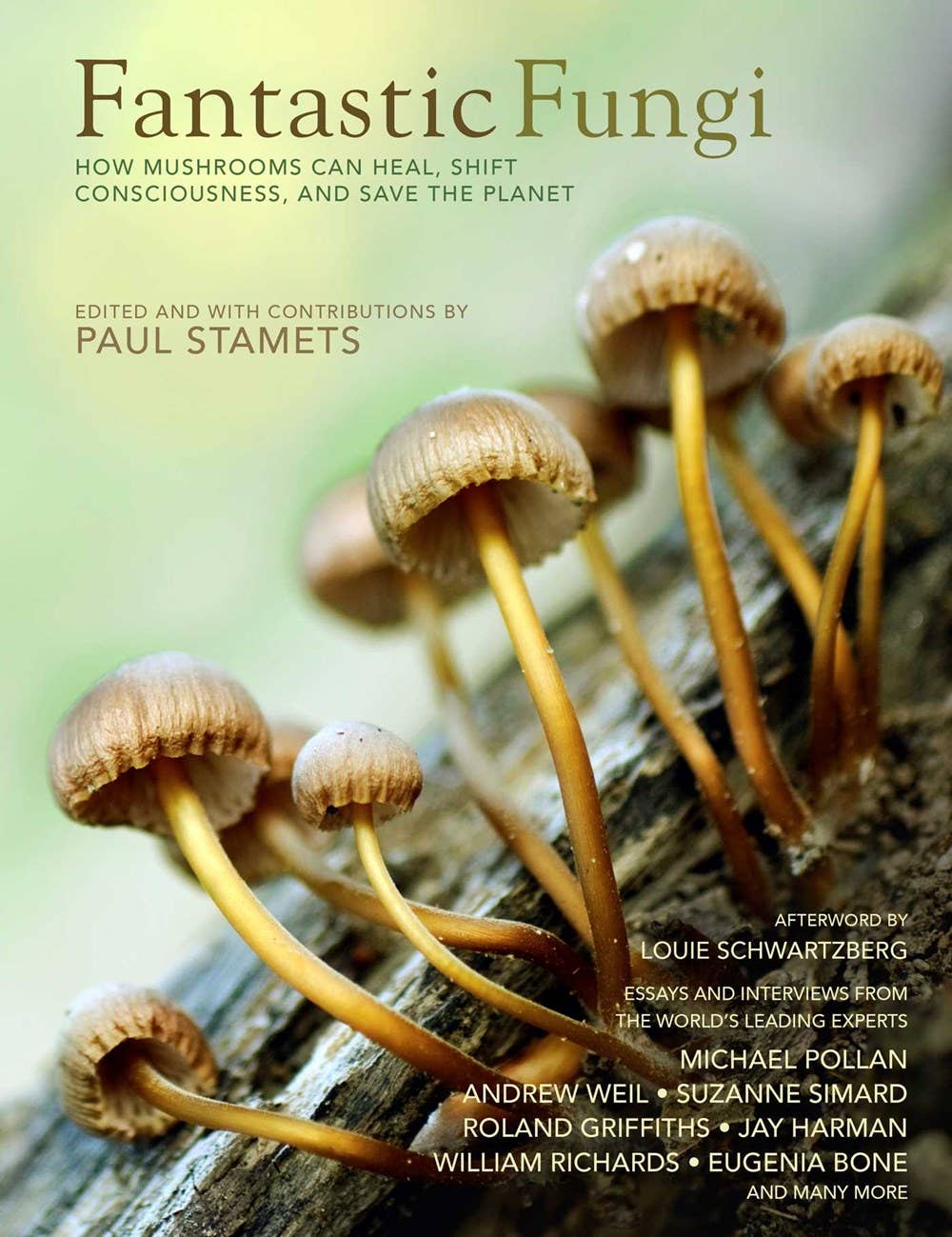 Fantastic Fungi: Expanding Consciousness Alternative Healing. -cover