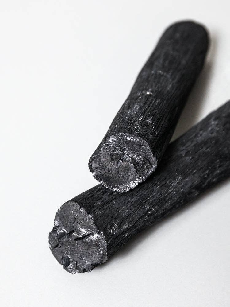 Morihata Binchotan Charcoal - close up