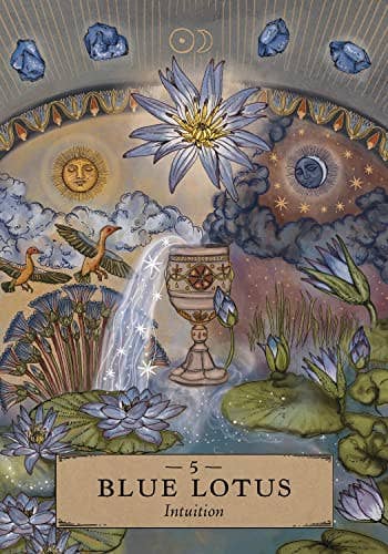 Herbal Astrology Oracle