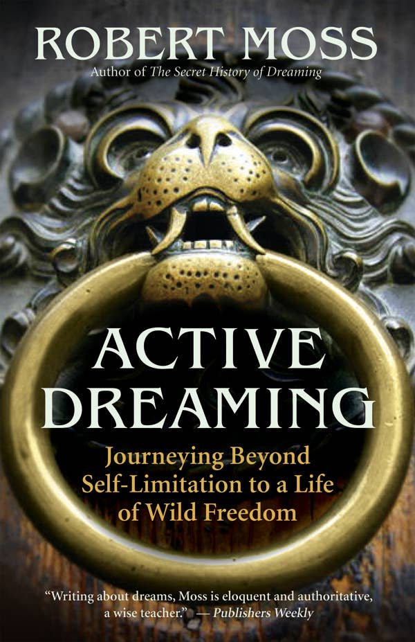 Active Dreaming by Robert moss