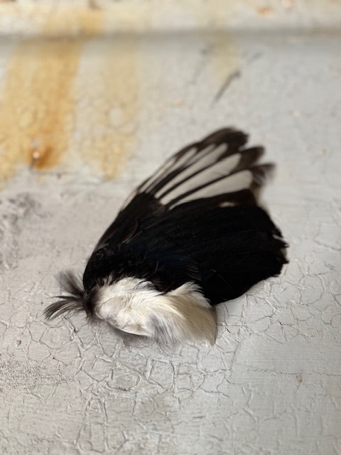 handmade feather fans