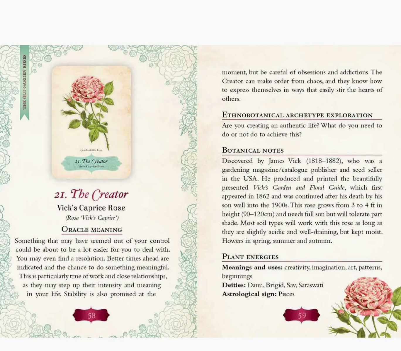 Oracle of The Roses by Cheralyn Darcey